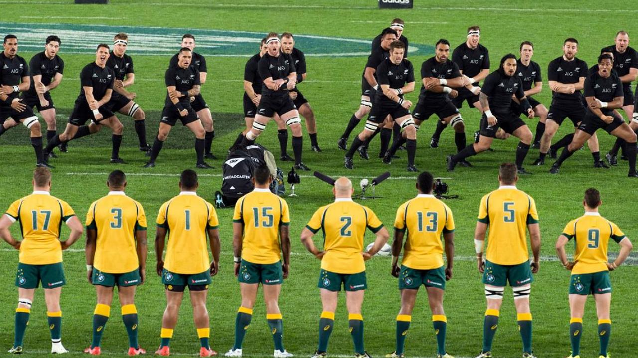 Rugby World Cup final preview All Blacks vs Australia Newshub