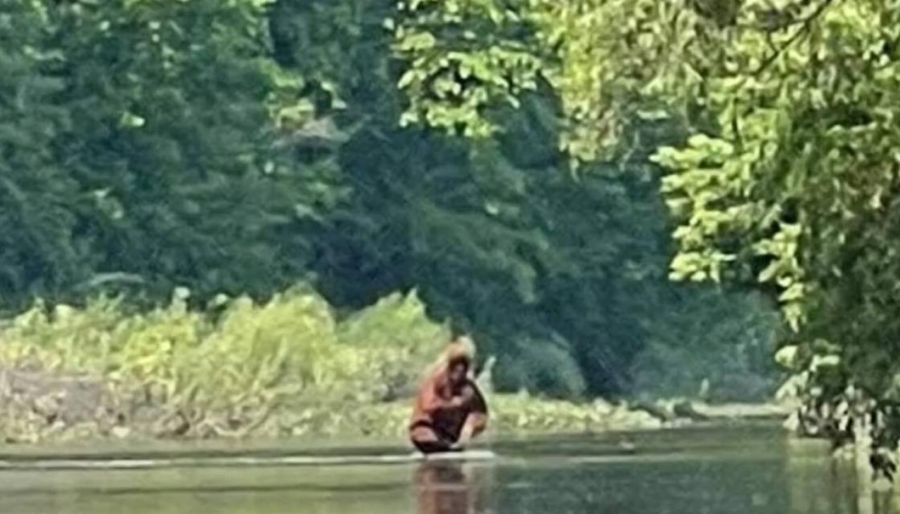 Bigfoot Or Fisherman Michigan Man Stumbles Across Large Hairy Figure