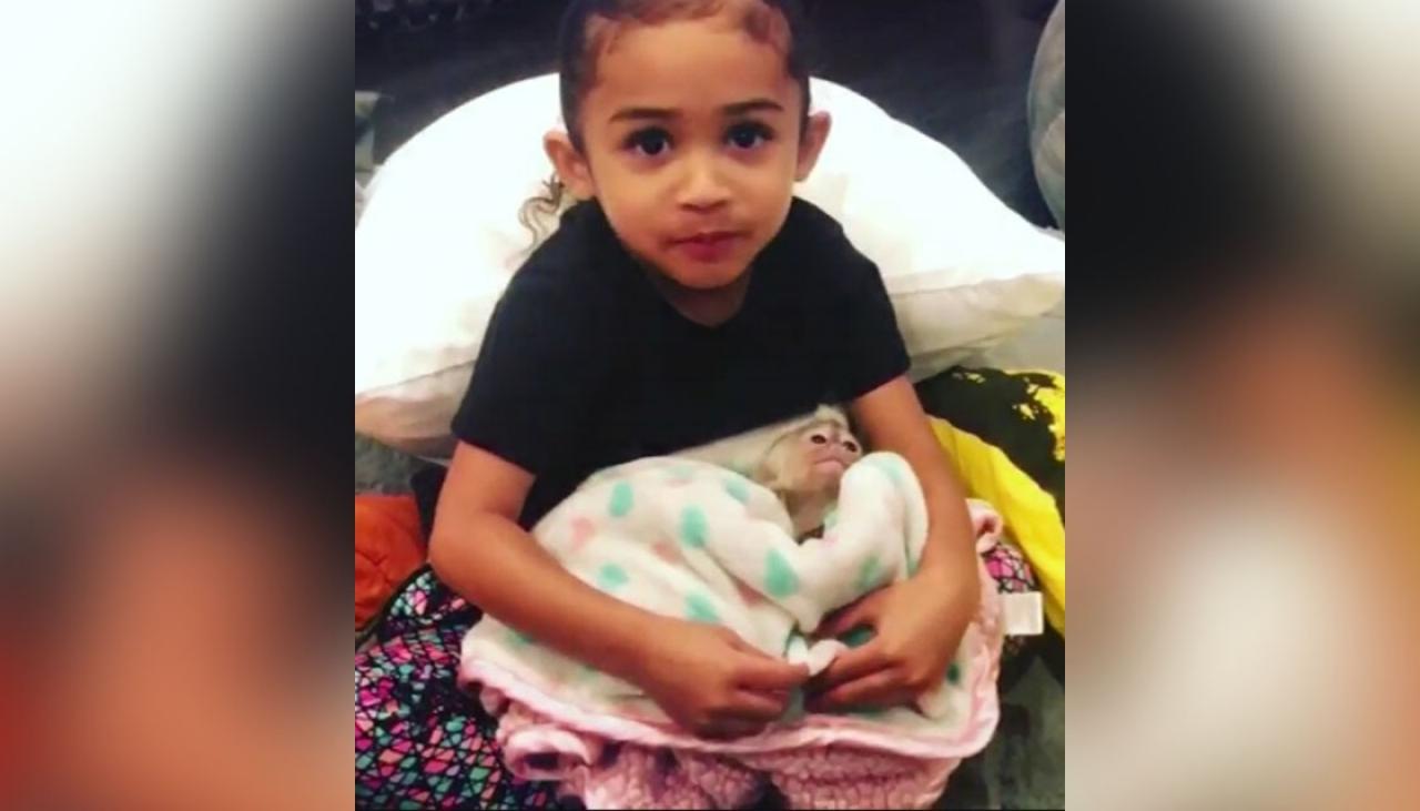 Chris Brown buys his 3yo daughter a monkey | Newshub - 1280 x 731 jpeg 60kB