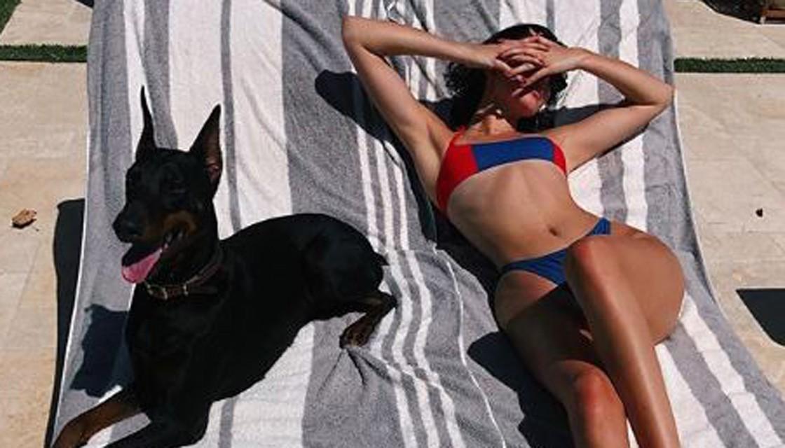 Cops Called After Kendall Jenner S Doberman Reportedly Bit A Little Girl Newshub