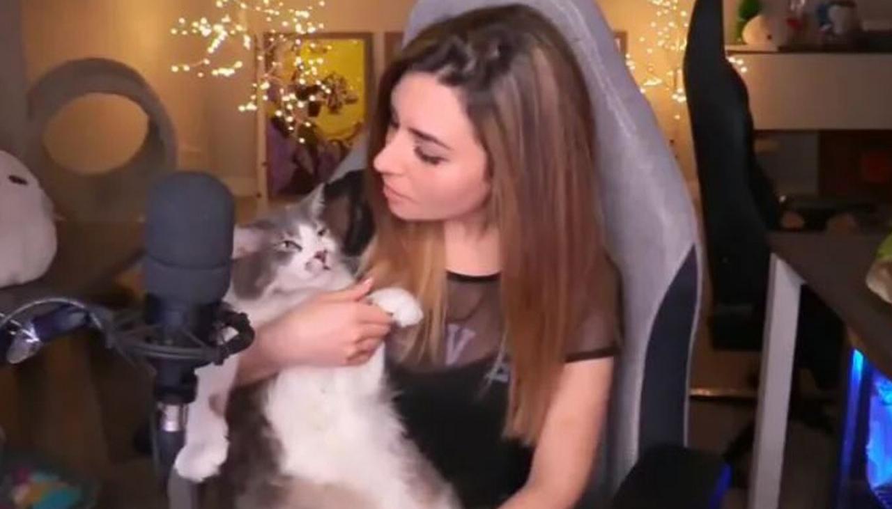 Twitch Streamer Alinity Apologises For Throwing Cat During Video Game