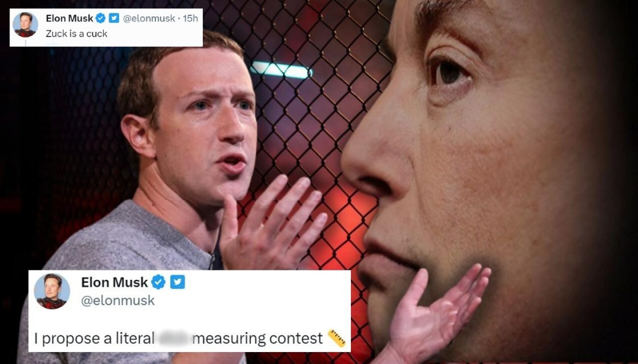 Elon Musk Calls Mark Zuckerberg A Cuck Challenges Him To Anatomy Measuring Contest Newshub 5640