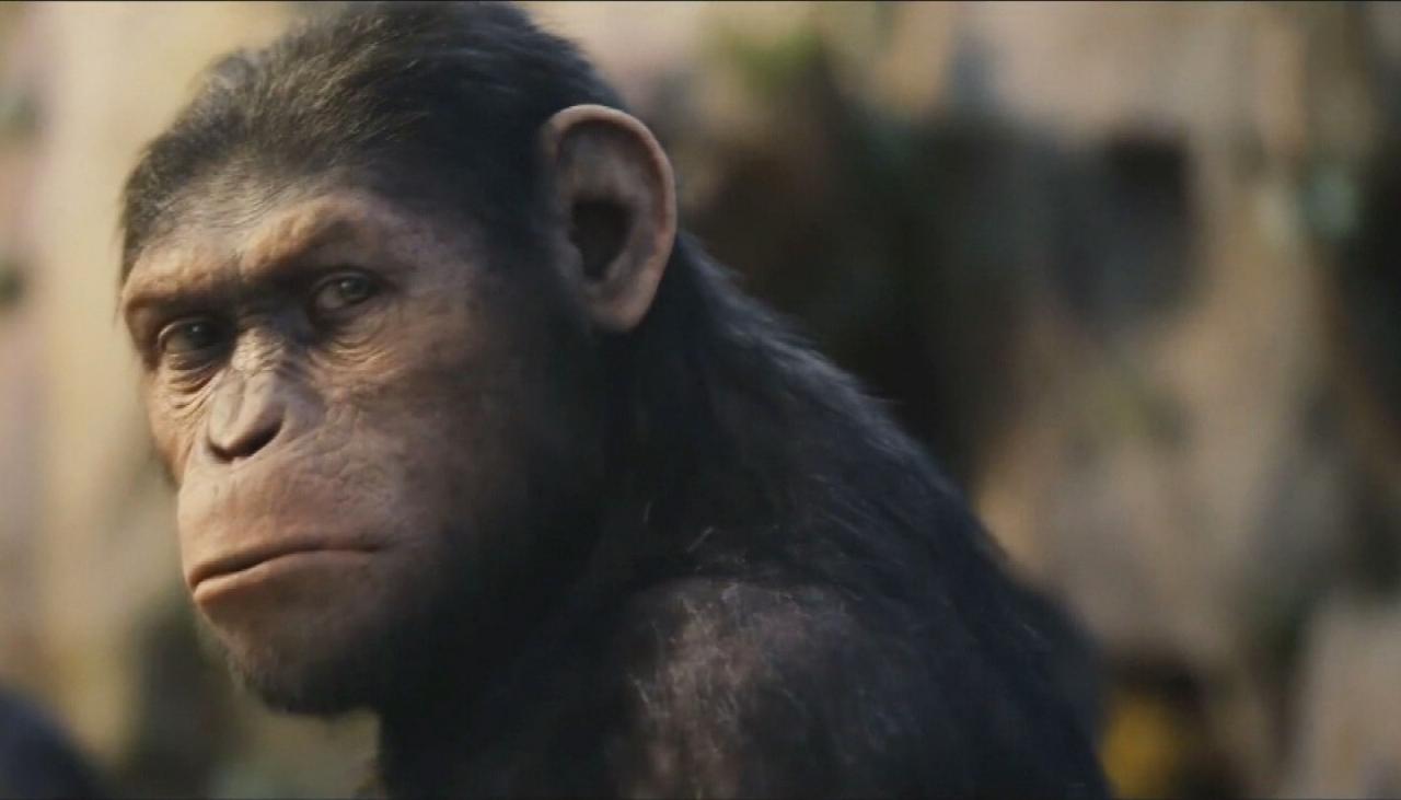 Review: Life-like visual effects in Kingdom of the Planet of the Apes ...