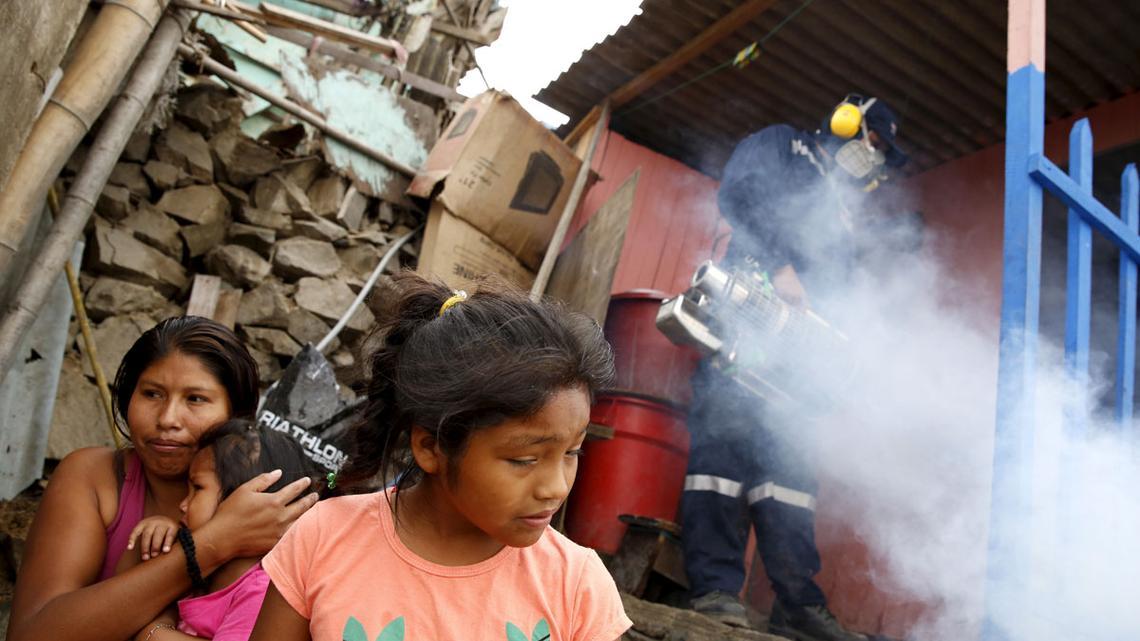 Most of Brazil's Zika cases 'show no symptoms' Newshub