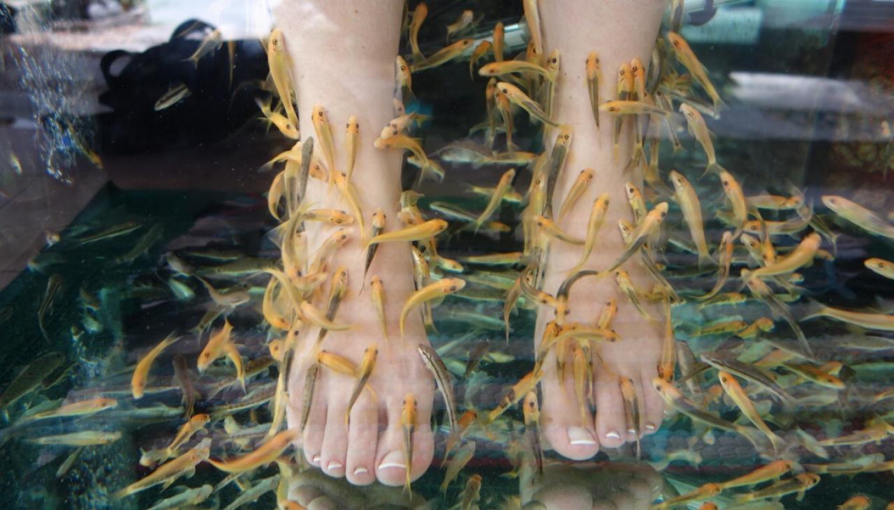 Look what a fish pedicure did to this woman's feet Newshub