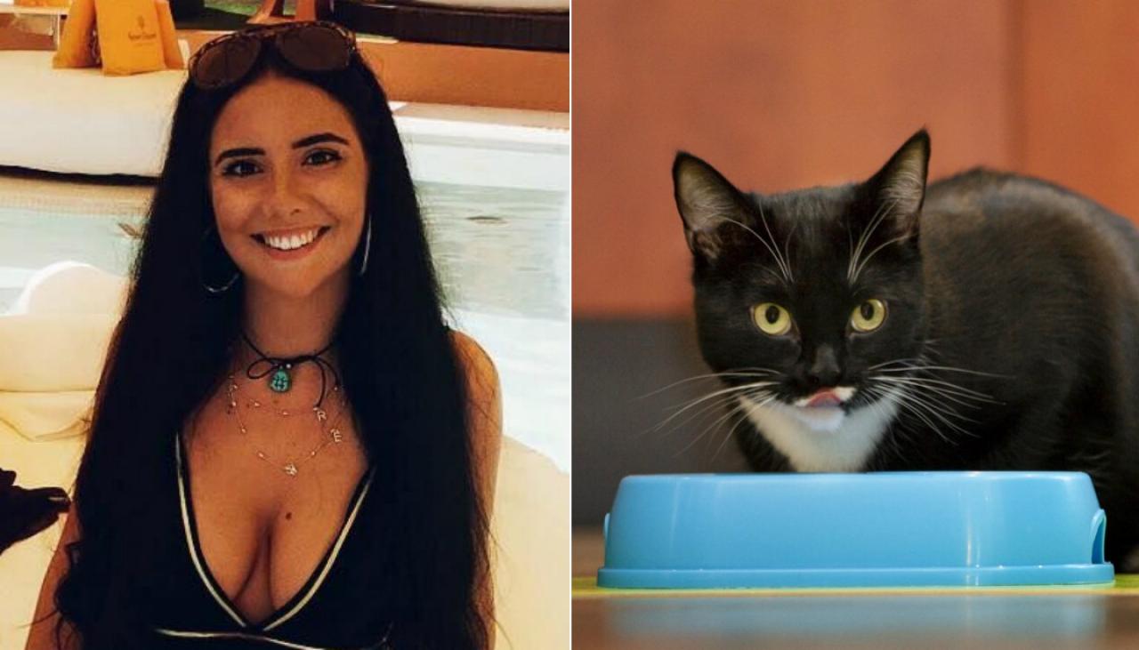 Uk Blogger Left Paralysed After Stroking A Stray Cat On