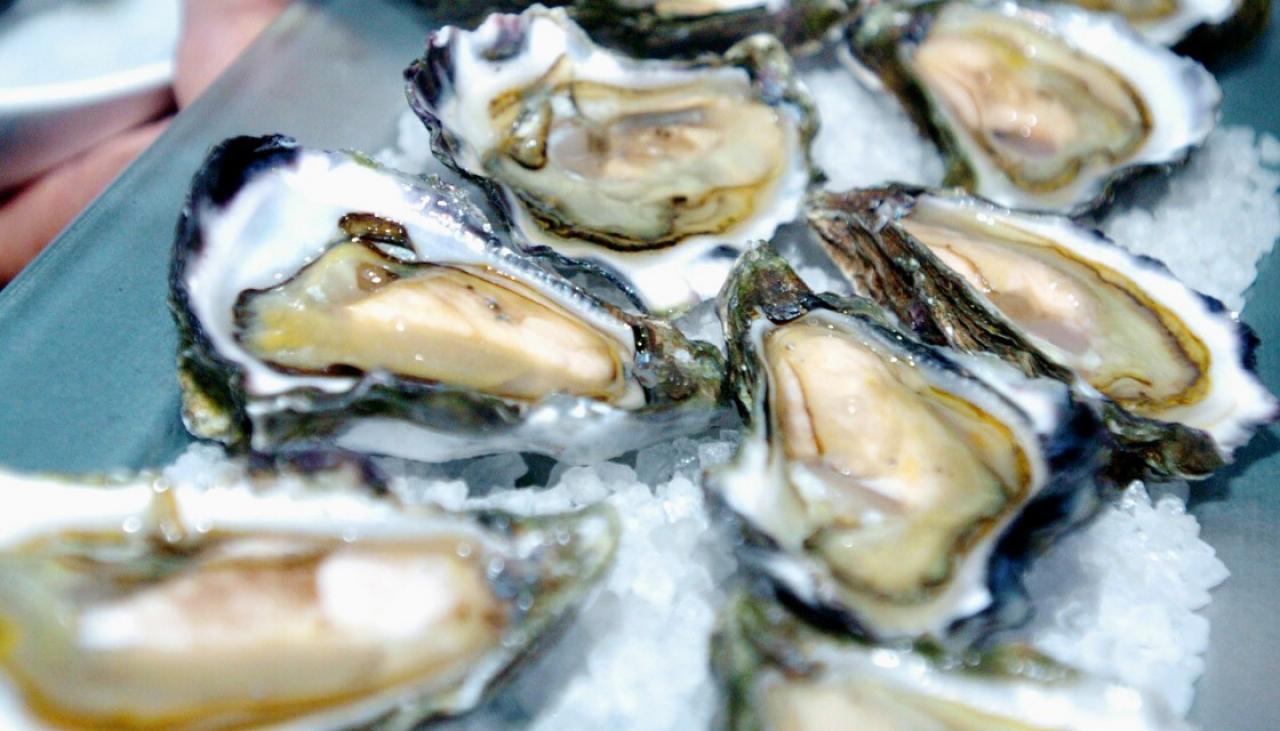 Where to get your hands on the best Bluff oysters in Auckland this