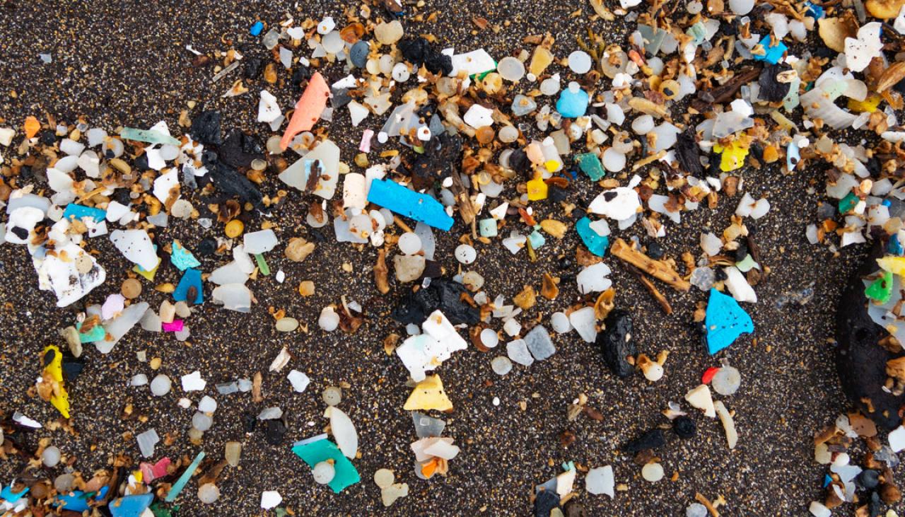 We ingest hundreds of pieces of plastic every day, study finds | Newshub