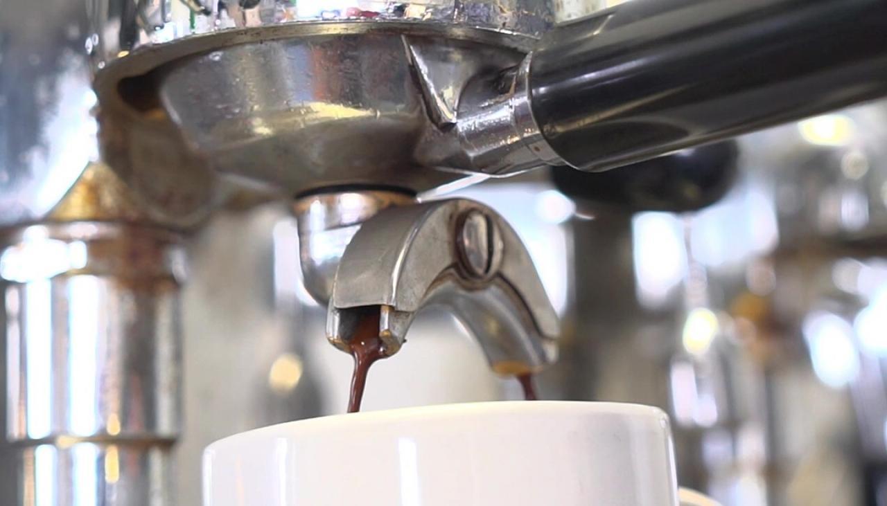 Fieldays Young Barista Allegedly Forced To Work 11 Hours With No Toilet Break Newshub