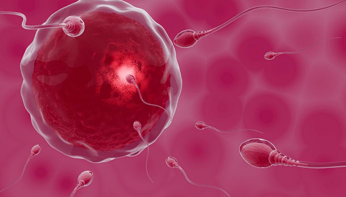 Male contraception: Heating up testicles with nanoparticles could one ...