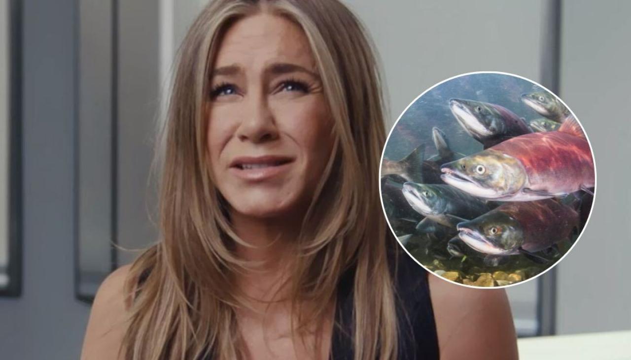 Jennifer Aniston Reveals Why She Once Got a Salmon Sperm Facial