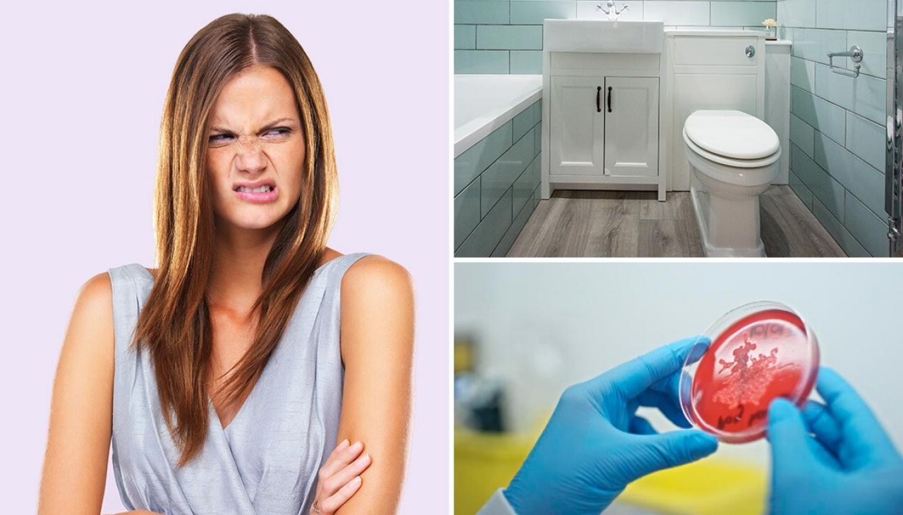 https://www.newshub.co.nz/home/lifestyle/2023/08/post-covid-19-household-cleaning-habits-are-worse-in-2023-than-2022-study/_jcr_content/par/image.dynimg.1280.q75.jpg/v1691125667132/GettyImages-129312179-cleaning-toilet-germs-wash-gross-040823-1120x640.jpg