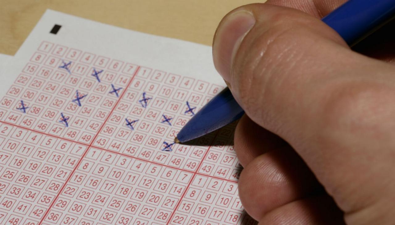 Lotto results Christmas spendup on the cards for lucky Aucklander