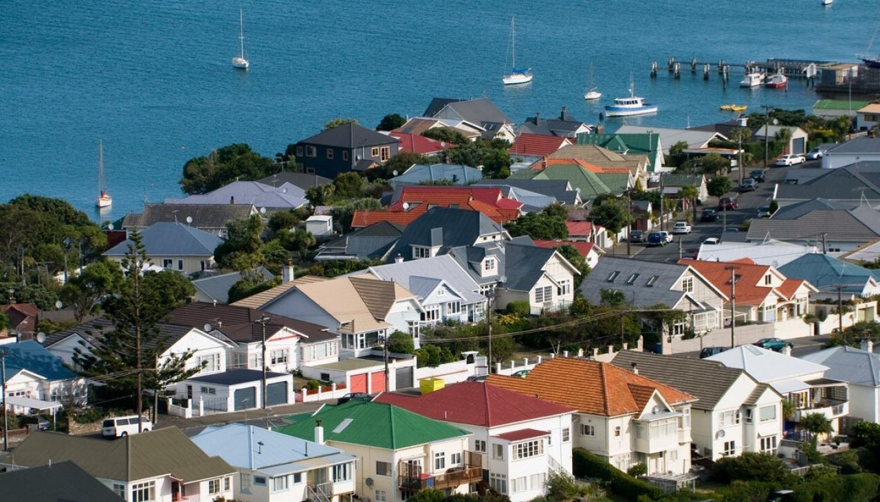 House prices: Areas with double-digit decline in values growing, national  price average continues to decrease | Newshub