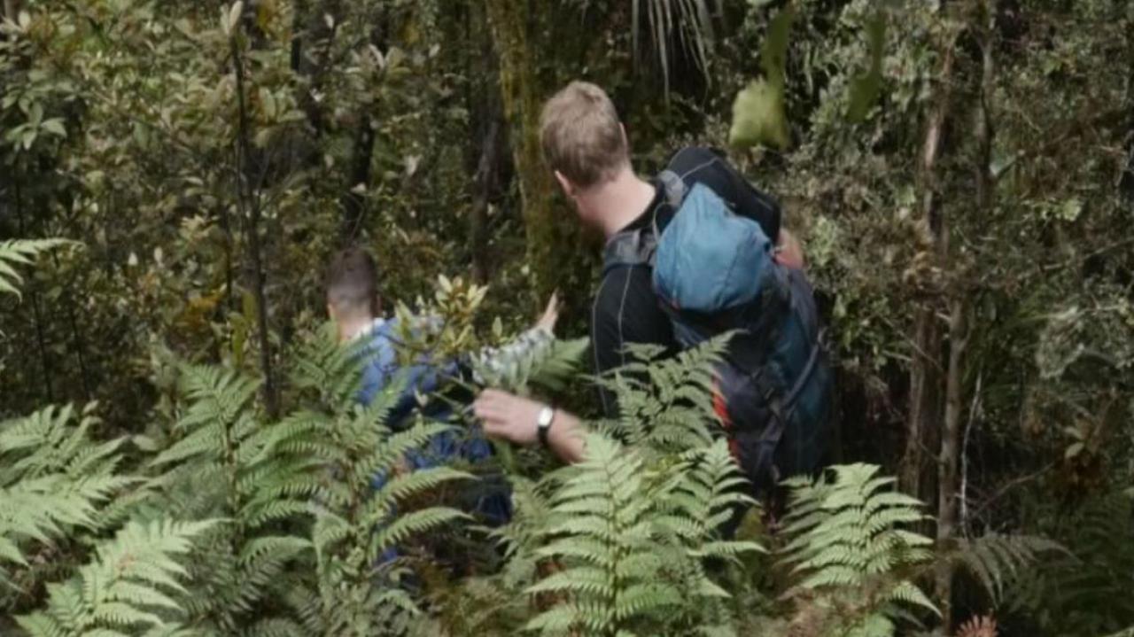 Lost in the bush: would you know what to do? | Newshub