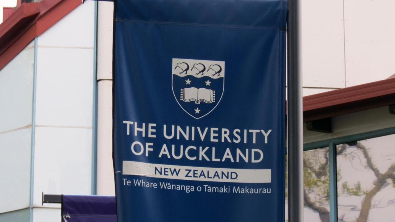 Auckland Uni journal shows off undergrads' talents Newshub