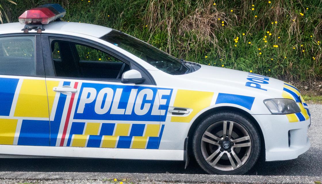 Horses Killed In Hawke's Bay Crash | Newshub