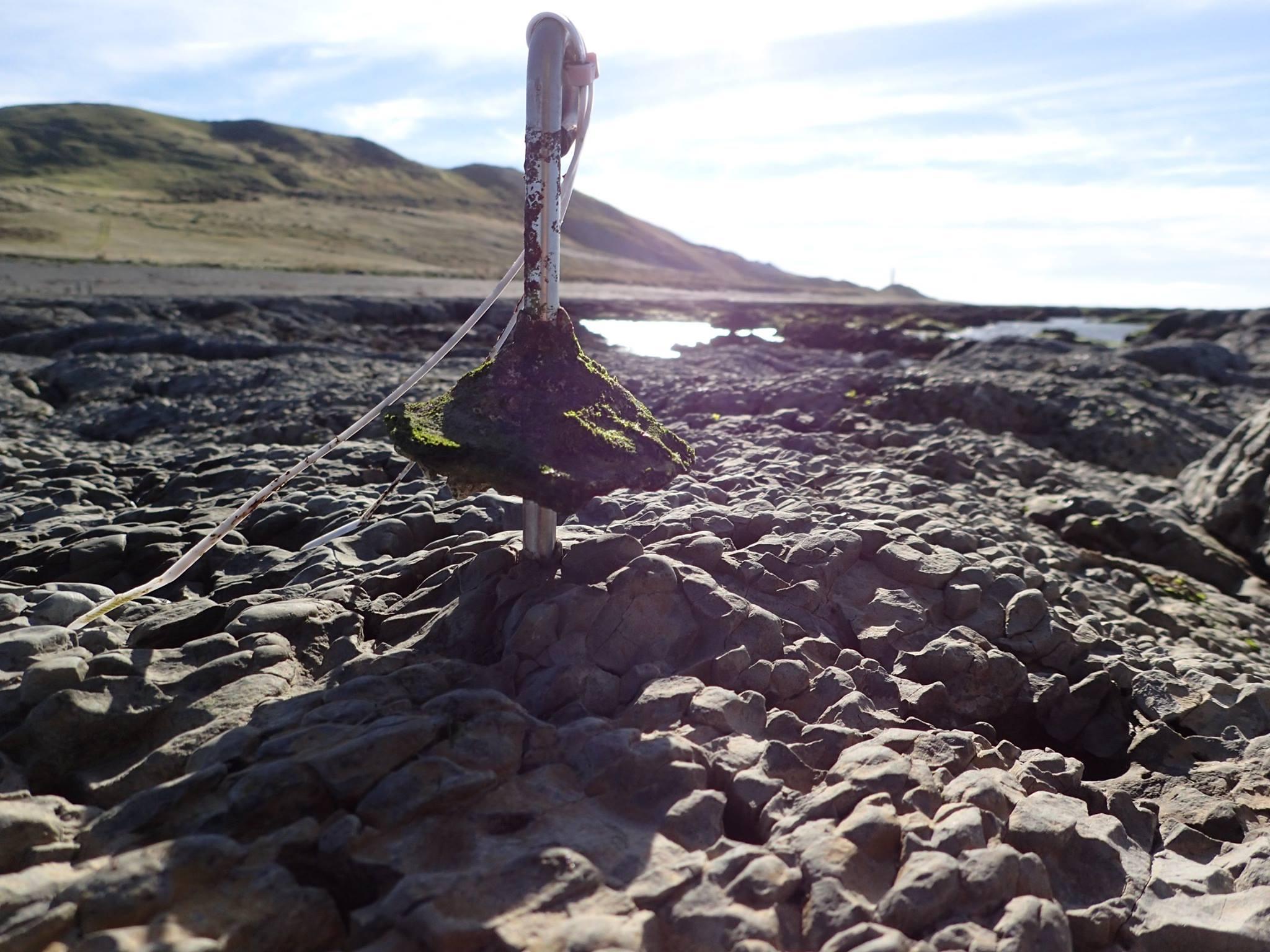 What The Kaikoura Quake Did To The Seabed Newshub