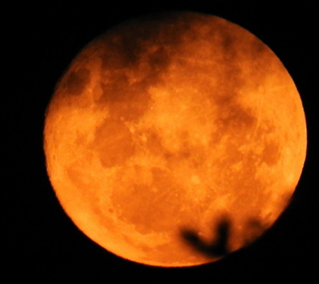 Supermoon New Zealand Photos that will make you gasp Newshub