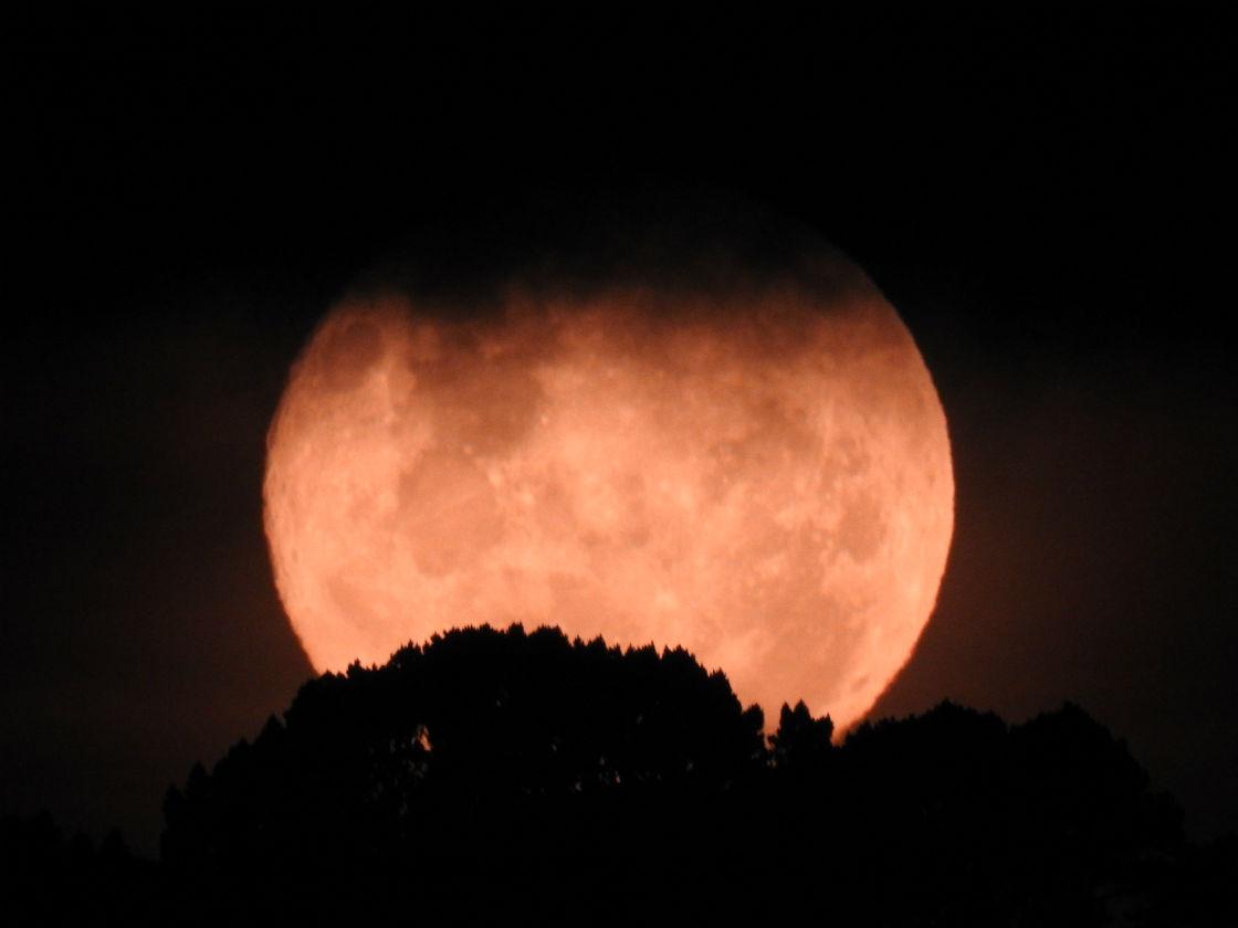 Supermoon New Zealand Photos that will make you gasp Newshub