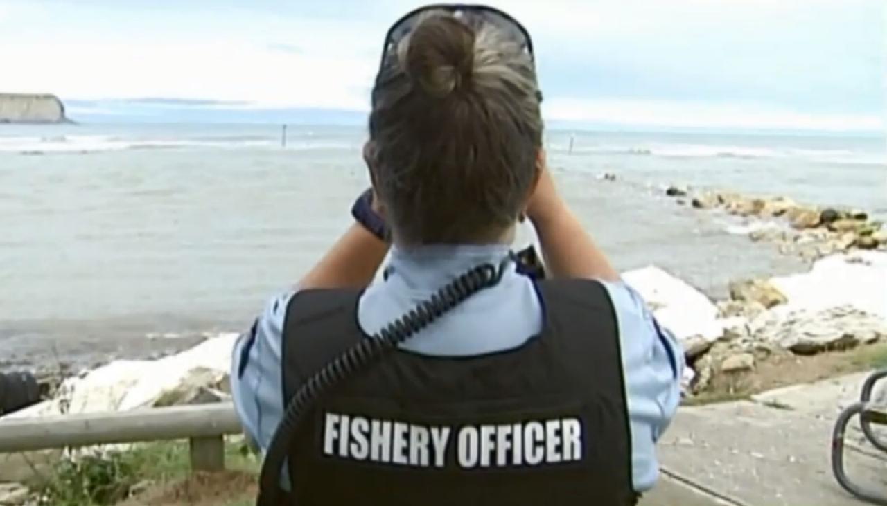 Exclusive: Fishery officers bashed, threatened on the job | Newshub