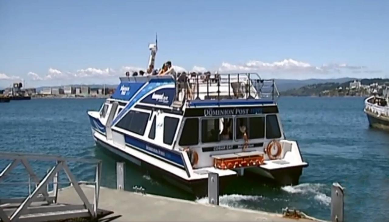 Exclusive Wellington to get first electric ferry in Southern