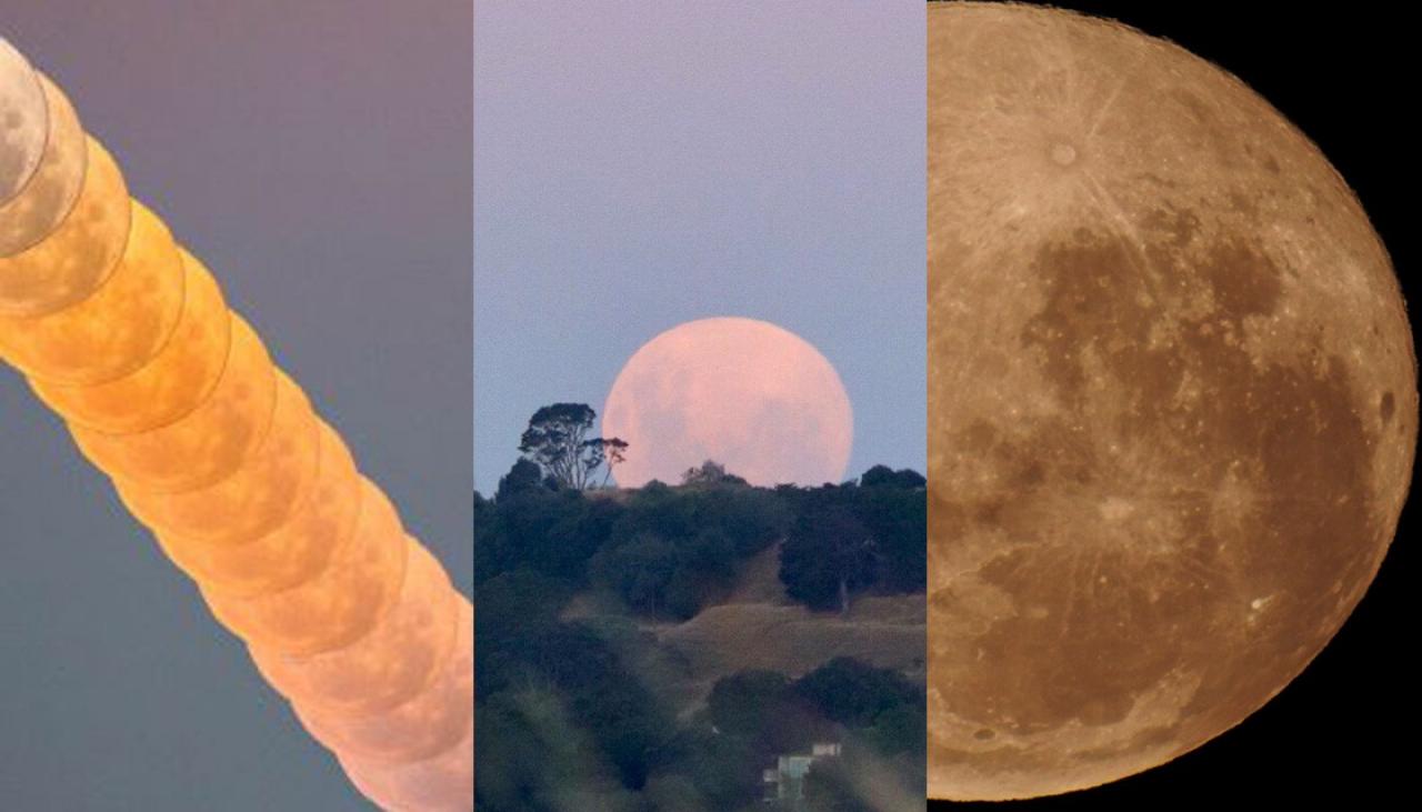 Stunning photos of supermoon over New Zealand Newshub