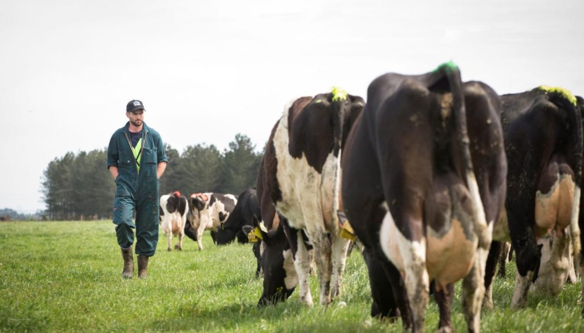 Agriculture Farming Jobs New Zealand