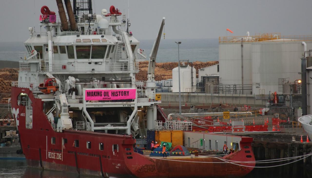 30 Protesters Join Greenpeace Campaign In Timaru To Stop New Zealand ...