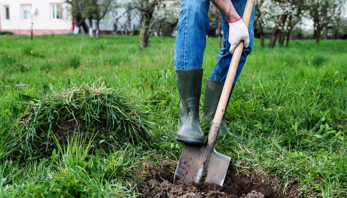 government-erases-thousands-of-hours-of-community-service-newshub