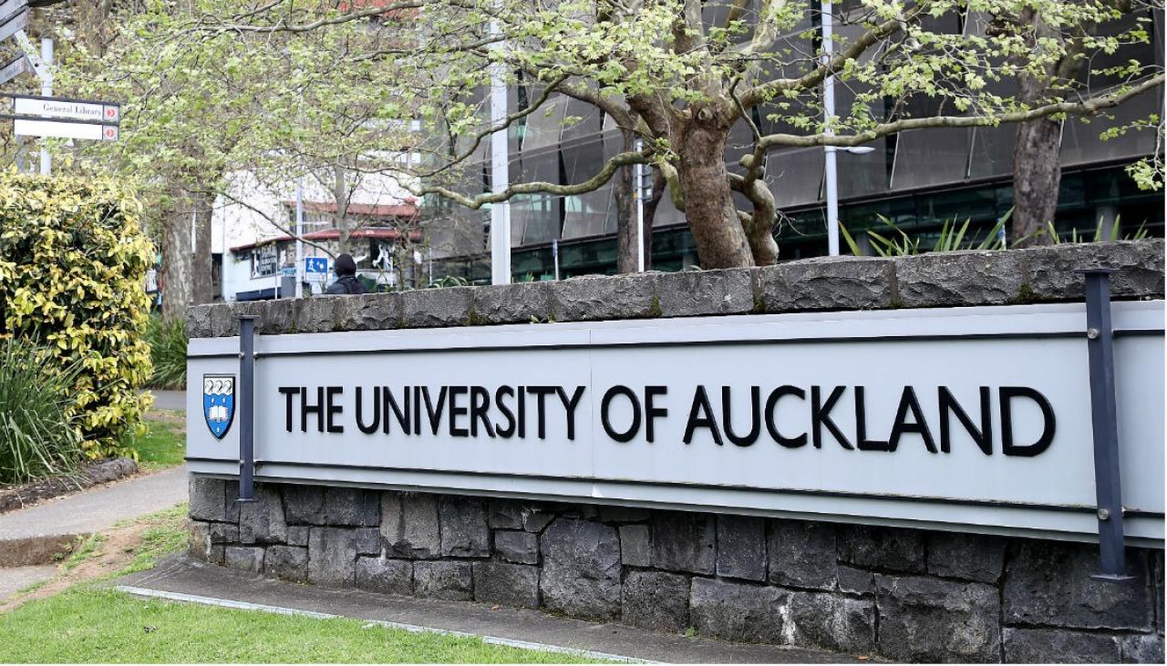 Risk of tuberculosis exposure to Auckland University students after  infectious student attends class | Newshub