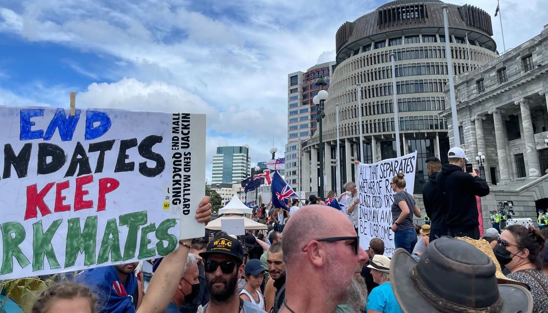 Frustrations Boil Over As Wellingtonians Fear Anti Mandate Protest Will Spread Further Into City 