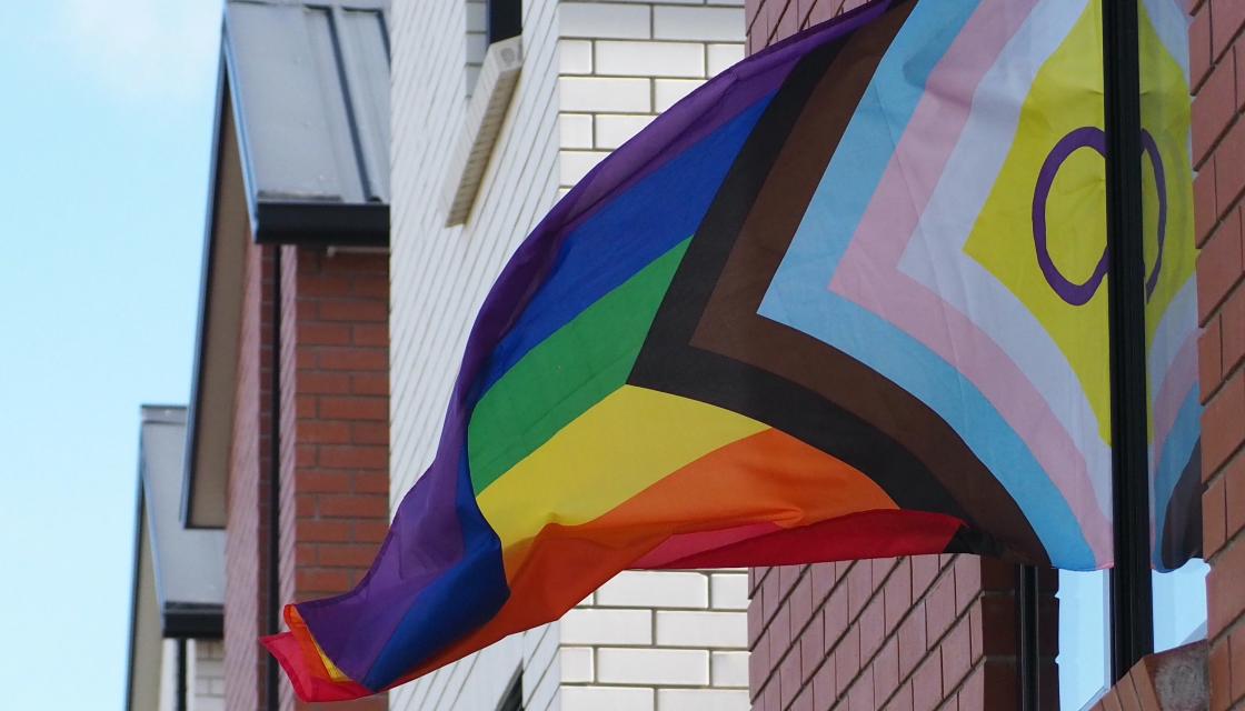 Auckland suburb to fly 300 pride flags in response to recent anti ...