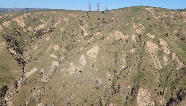 Cyclone Gabrielle: Hawke's Bay, Gisborne fishing industry faces