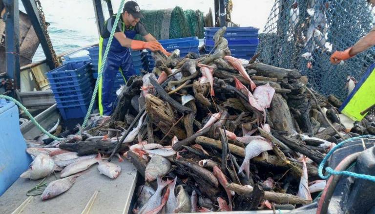 Some Far North iwi members out to stop decades-old fishing competition