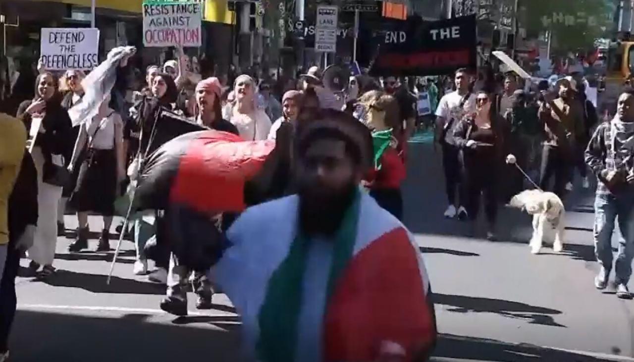 Pro Palestine Protest Auckland