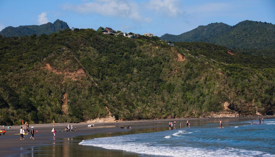 Bluebottles 'make waves' for beach goers - here's how to tell if you're  allergic