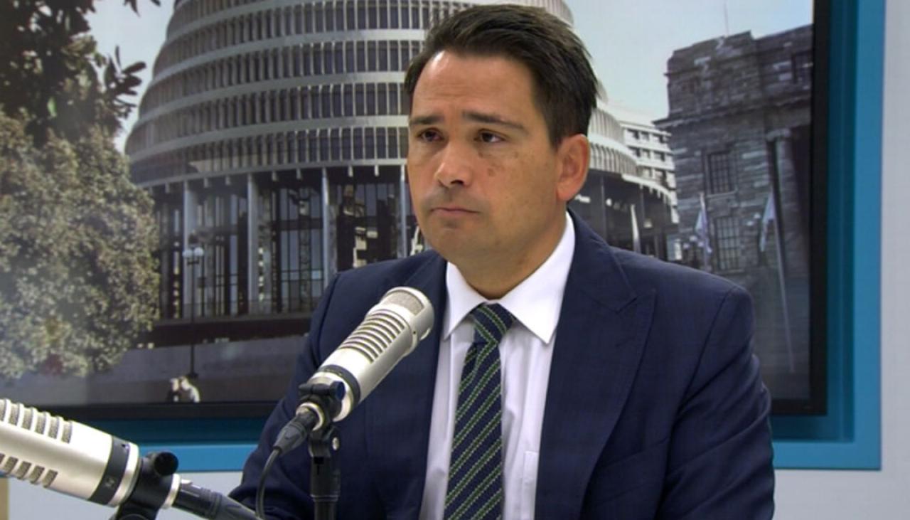 Simon bridges