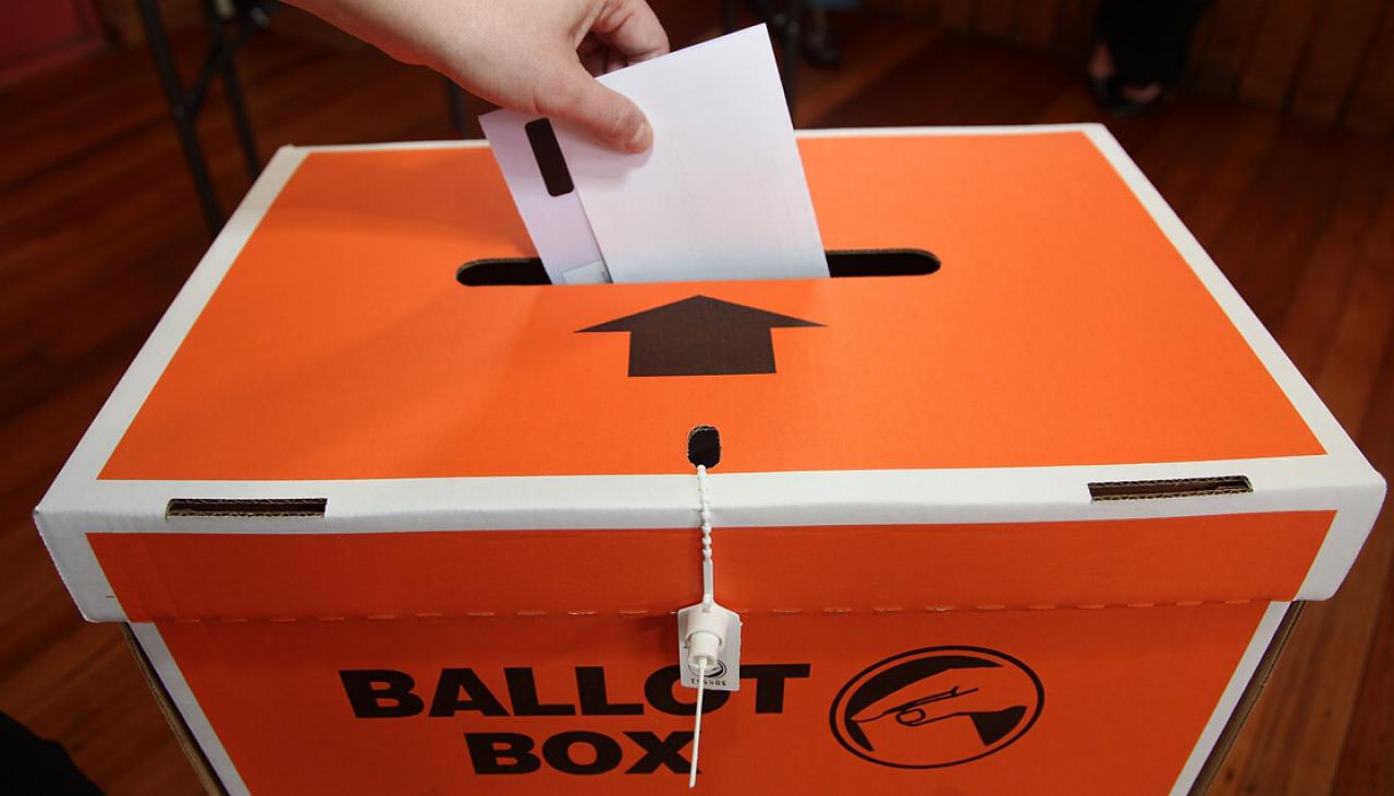As it happened New Zealand local body election results 2019 Newshub