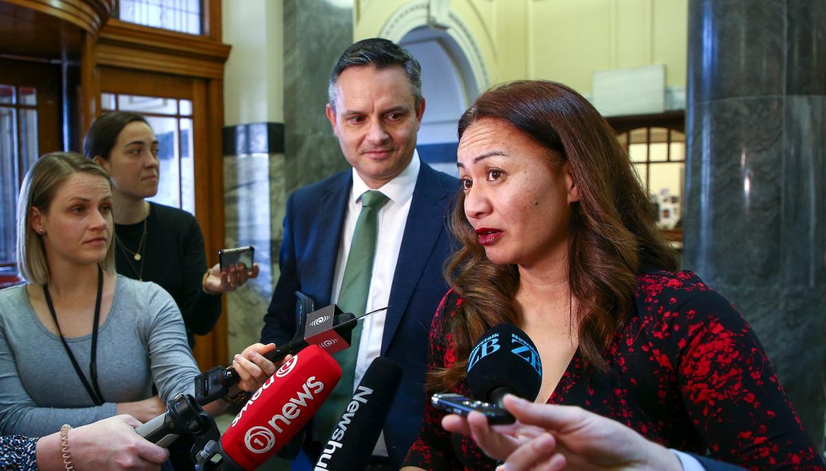 Green Party Co Leaders James Shaw Marama Davidson Offered Ministerial Positions In Cooperation 0300