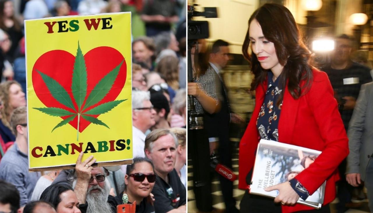 Cannabis Referendum Why The Campaign For Weed Reform In New Zealand Will Outlive Those Who 
