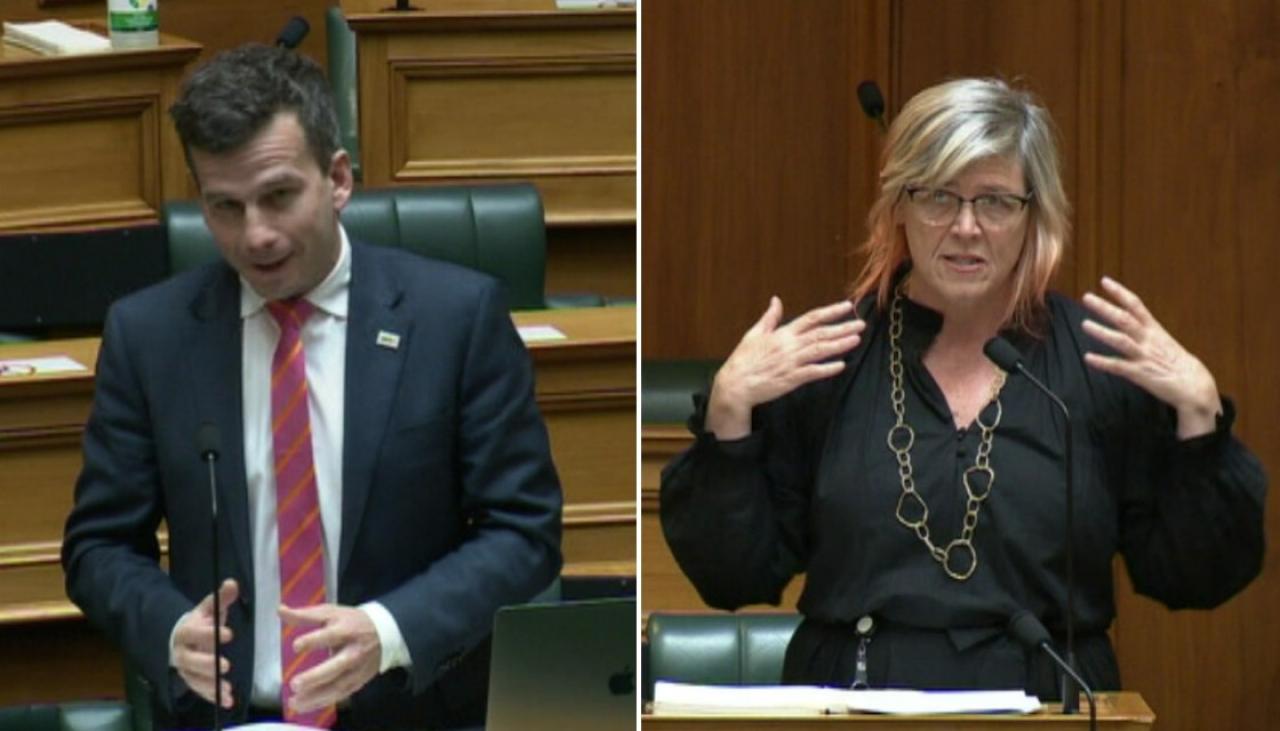 Act Leader David Seymour Swipes At Green Mp Jan Logies Opposition To