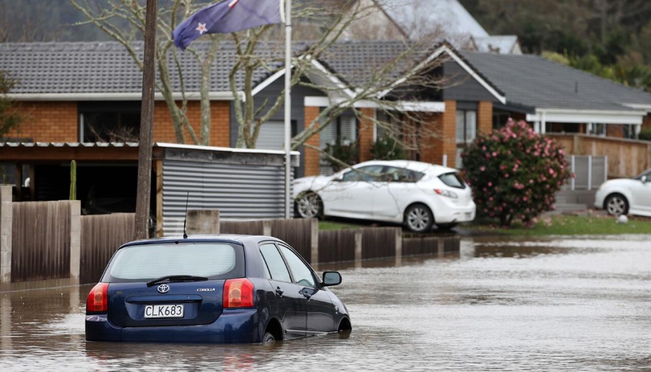 Calls to reassess Auckland's intensified housing development plans