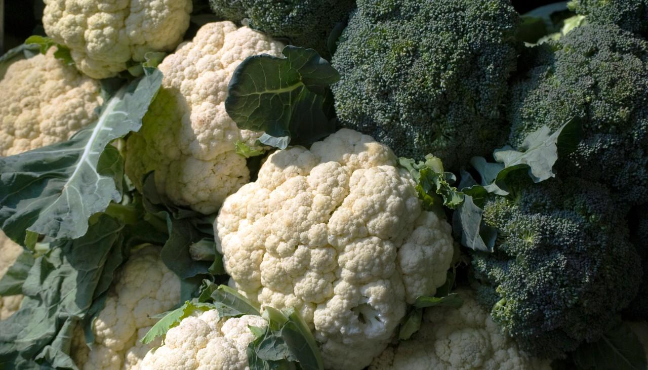 Are broccoli and cauliflower the same plant Idea