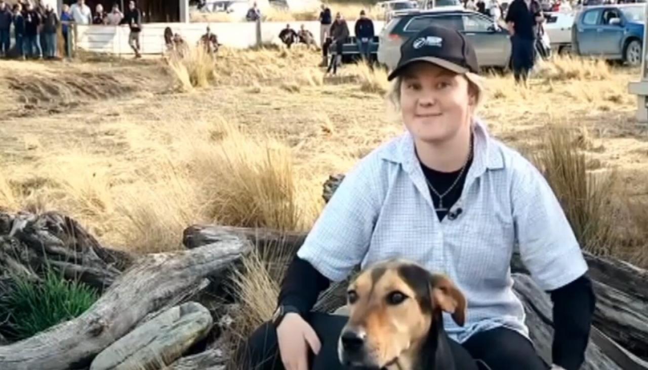 Kiwis flock to see NZ Sheep Dog Trial Championships Newshub