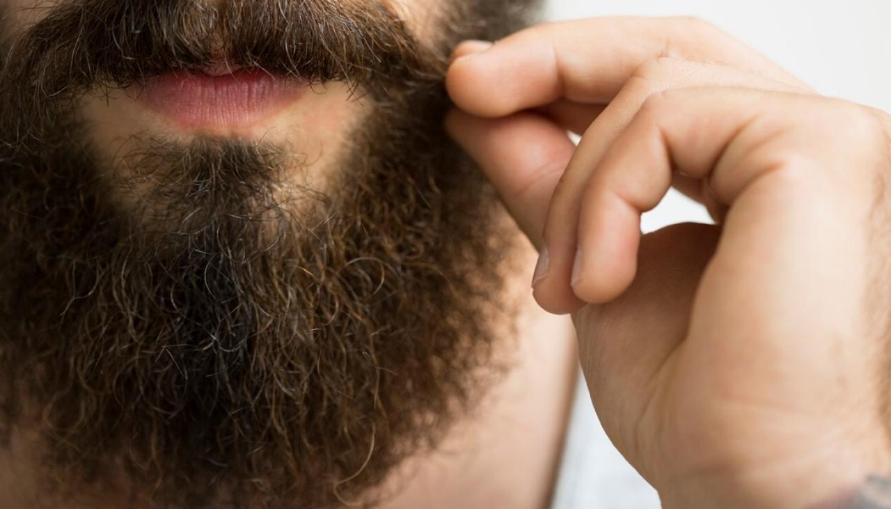 Question of the Day: Beards: Yes or No? | Newshub