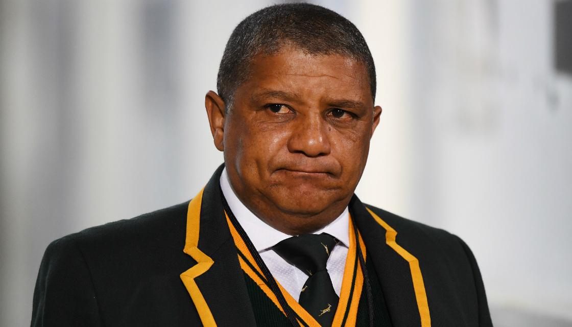 Allister Coetzee appointed South African rugby coach Newshub