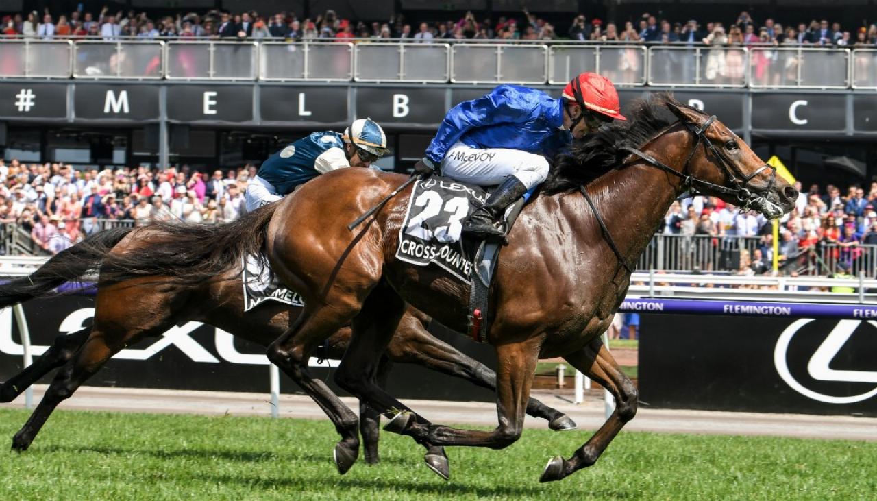 Melbourne Cup 2019: Everything you need to run your office