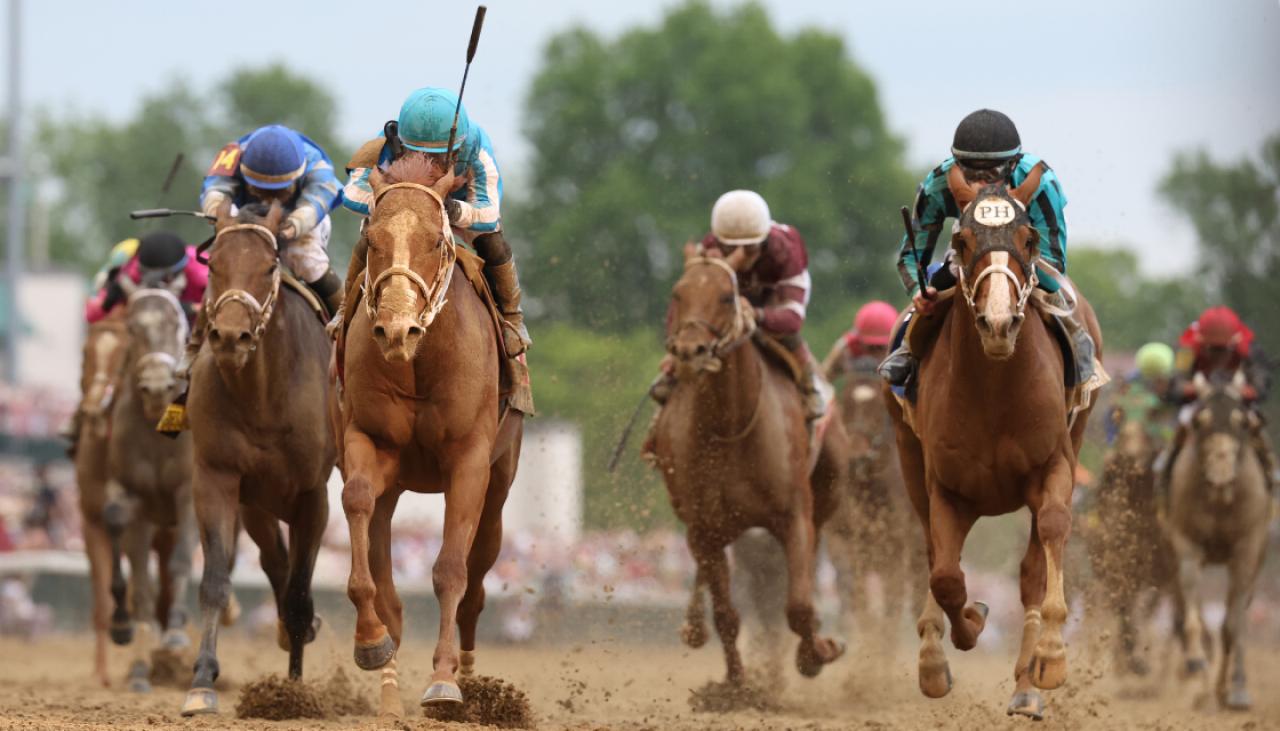 Seven horses die in leadup to Kentucky Derby, sparking more