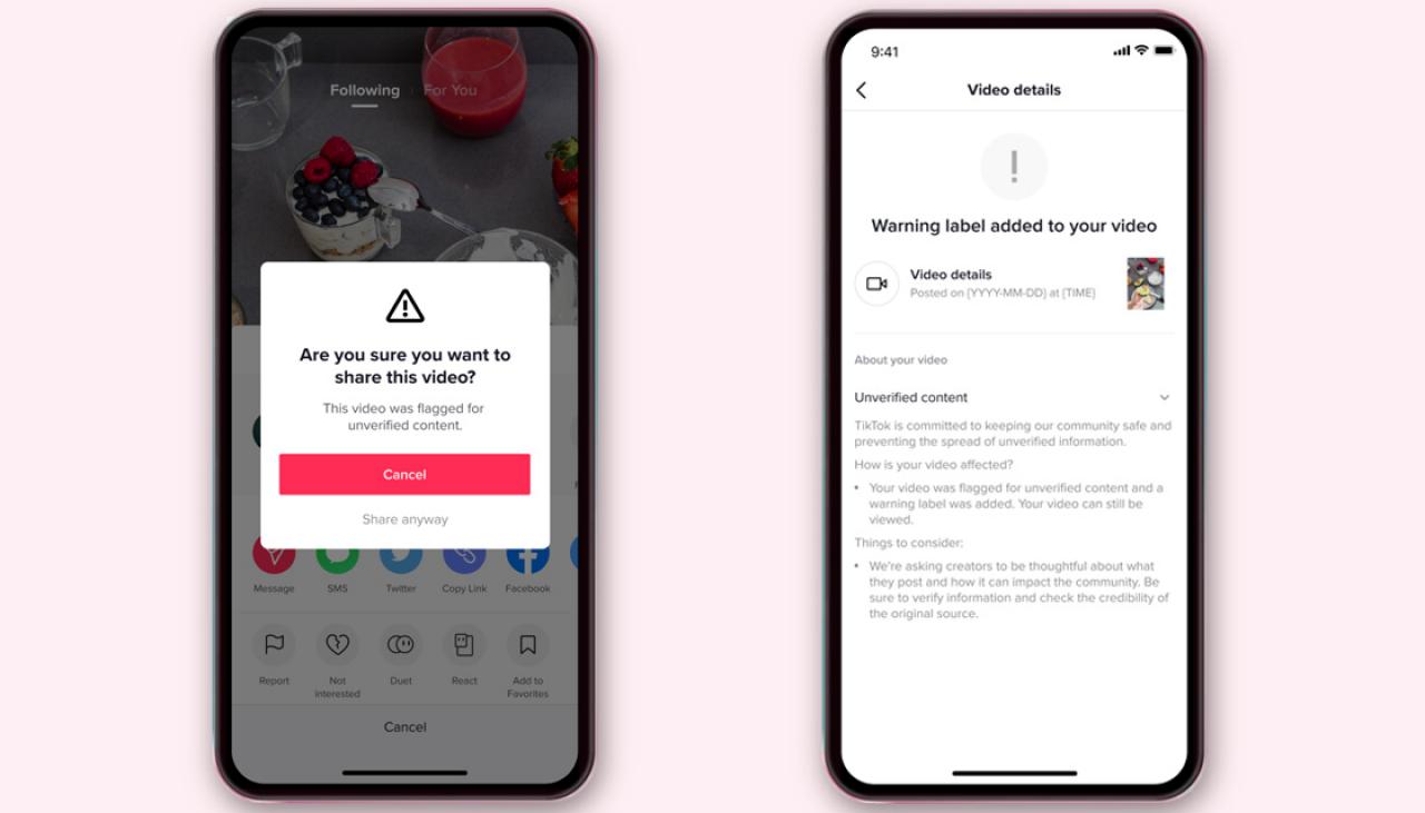 TikTok introducing prompts to combat misinformation | Newshub